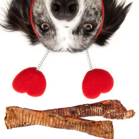 Dogario Bonni Beef Throat XXL - chrupki gryzak 40cm - 50cm-1902569