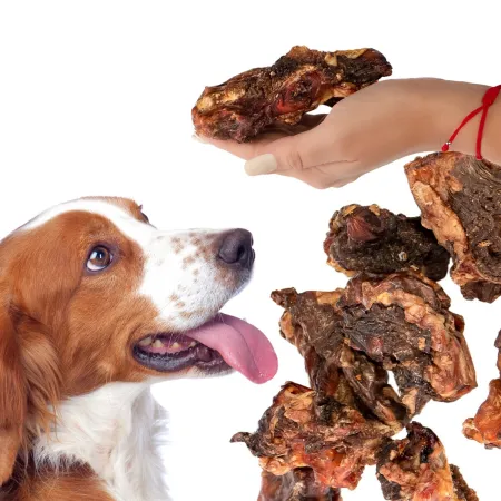 Dogario Bonni Hard Meat - mięsień twardy gryzak-1902596