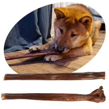 Dogario Bonni Long Crisp - przysmak chrupiący 30cm-1902612