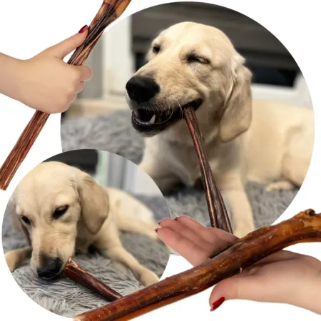 Dogario Bonni Penis Long - twardy przysmak dla psów 30cm-1902639