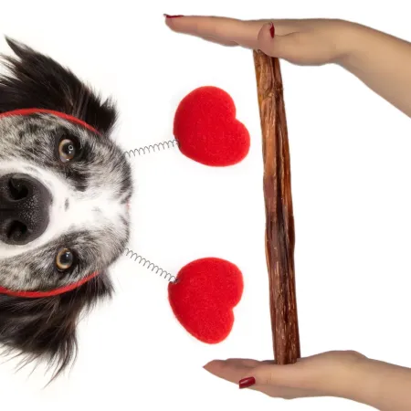 Dogario Bonni Penis Long - twardy przysmak dla psów 30cm-1902644