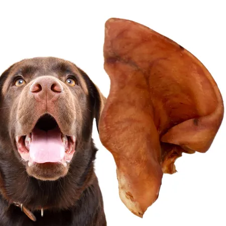 Dogario Bonni Pig's Ear L - duże wieprzowe ucho gryzak dla psa x10-1902668