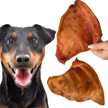 Dogario Bonni Pig's Ear L - duże wieprzowe ucho oferta hurtowa x50-1902685