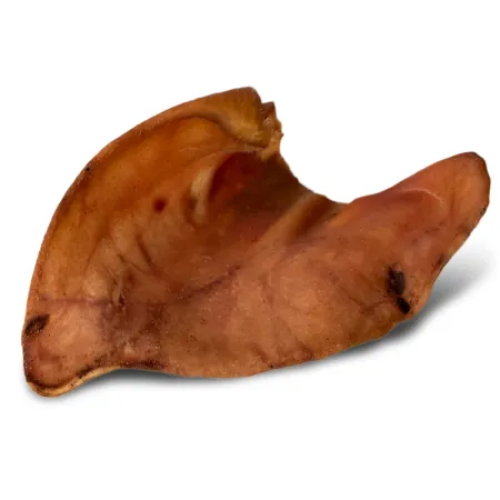 Dogario Bonni Pig's Ear L - duże wieprzowe ucho oferta hurtowa x50-1902688