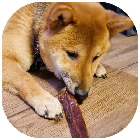 Dogario Bonni Sausage Natural - kiełbaska naturalna twarda-1902695