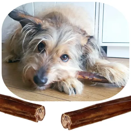 Dogario Bonni Sausage Natural - kiełbaska naturalna twarda-1902698