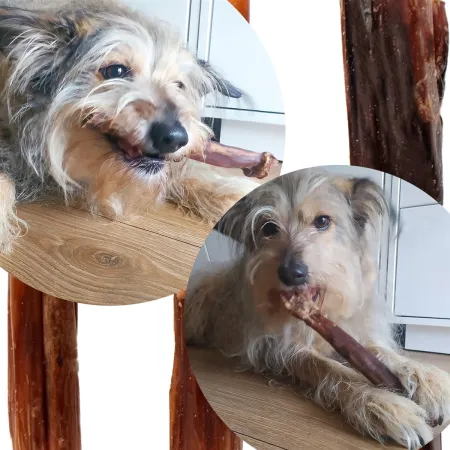 Dogario Bonni Sausage Natural - kiełbaska naturalna twarda-1902699