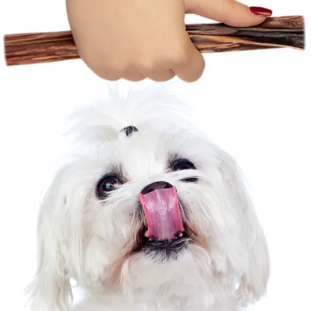 Dogario Bonni Sausage Natural - kiełbaska naturalna twarda-1902701