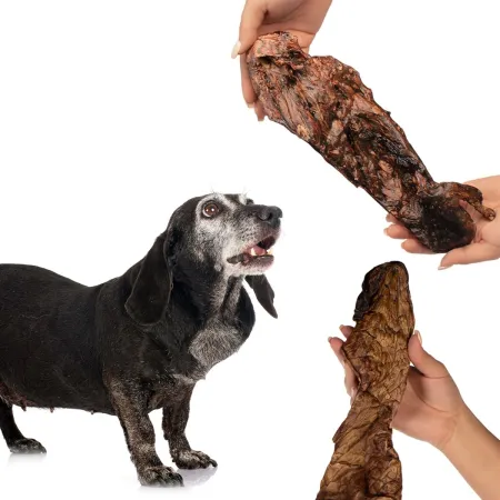 Dogario Bonni Smooth Meat XXL - mięso wołowe 2 sztuki-1902716