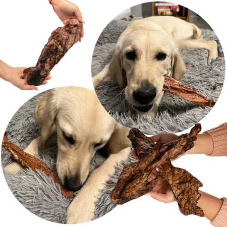 Dogario Bonni Smooth Meat XXL - mięso wołowe x10szt-1902727