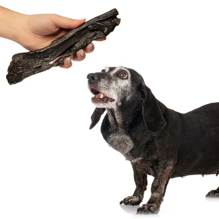 Dogario Bonni Soft for Senior - bardzo miękkie mięso dla seniorów-1902737