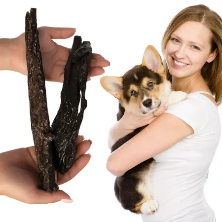 Dogario Bonni Soft for Senior - bardzo miękkie mięso dla seniorów-1902743