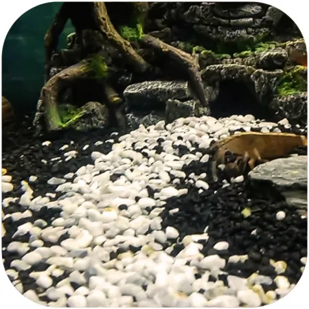 Eco Plant Pure River 1kg - żwirek jasny 1-3mm-1903009