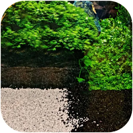 Eco Plant Pure River 1kg - żwirek jasny 1-3mm-1903010