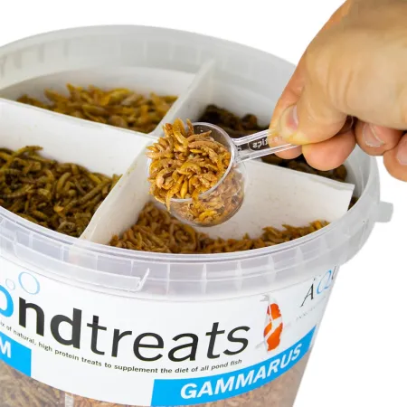 Evolution Aqua PondTreats 4in1 - karma mix dla ryb oczko wodne 6l-1903186