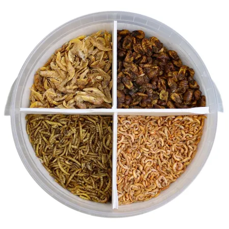 Evolution Aqua PondTreats 4in1 - karma mix dla ryb oczko wodne 6l-1903189