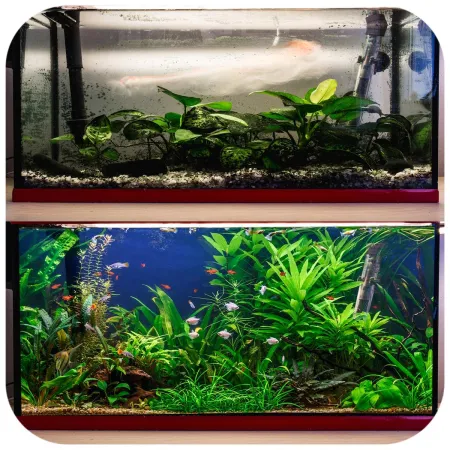 Evolution Aqua Waste Remover - usuwa szlam i zanieczyszczenia-1903290