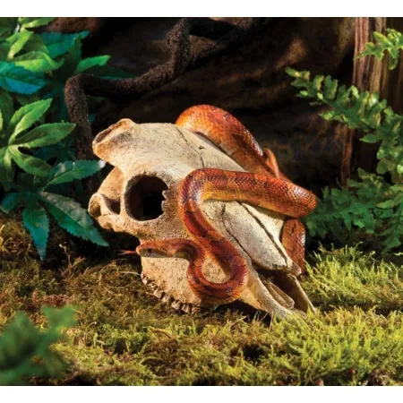 EXO TERRA Buffalo Skull (czaszka bawoła)-1903307