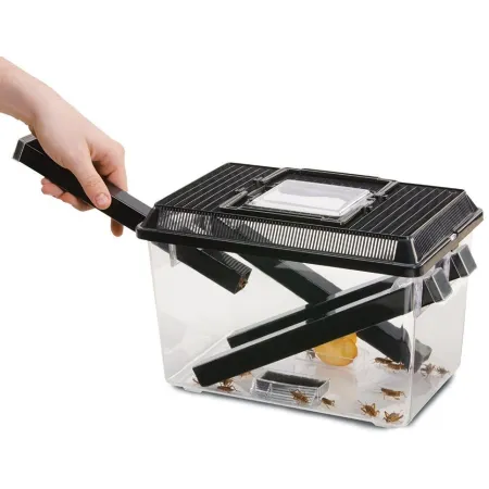 EXO TERRA Cricket Pen L Terrarium na karmówkę (30x20,5x19,5cm)