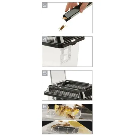 EXO TERRA Cricket Pen L Terrarium na karmówkę (30x20,5x19,5cm)-1903315