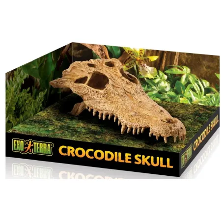 EXO TERRA Crocodile Skull (czaszka krokodyla)