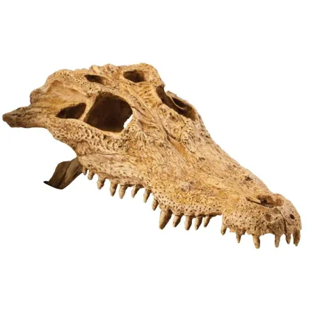 EXO TERRA Crocodile Skull (czaszka krokodyla)-1903322