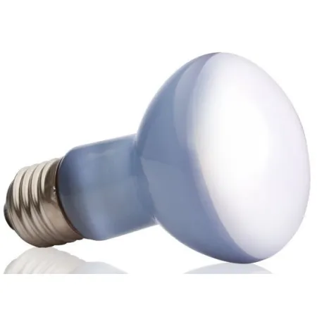 EXO TERRA Daylight 50W (żarówka grzewcza neodymowa)-1903331