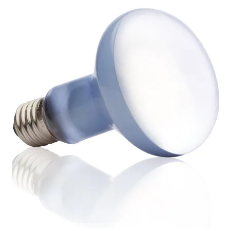 EXO TERRA Daylight Basking Spot 75W (żarówka grzewcza neodymowa)-1903334