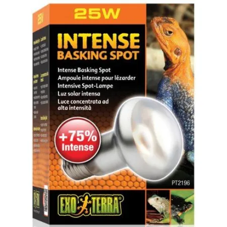 EXO TERRA Intense Basking Spot 25W (żarówka grzewcza)-1903362