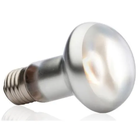 EXO TERRA Intense Basking Spot 25W (żarówka grzewcza)-1903363