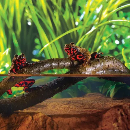 Exo Terra Liana wodoodporna gięta 190cm-1903386