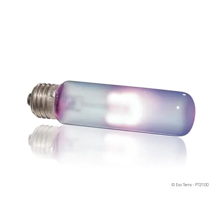 Exo Terra Sun-Glo 15W - żarówka dzienna-1903481