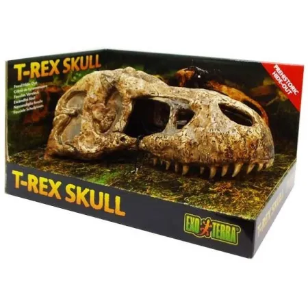 EXO TERRA T-Rex skull (czaszka dinozaura)