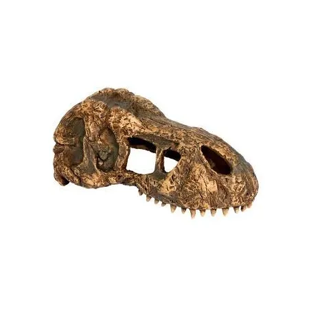 EXO TERRA T-Rex skull (czaszka dinozaura)-1903491