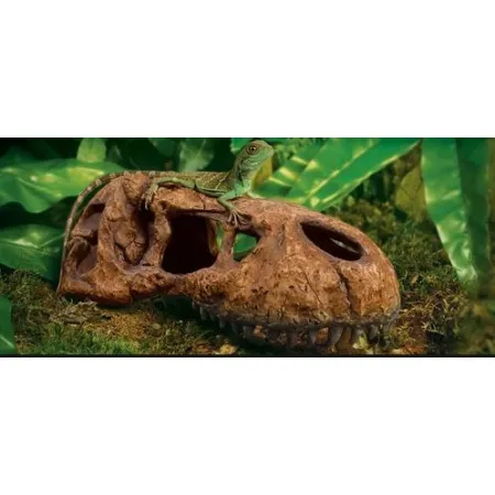 EXO TERRA T-Rex skull (czaszka dinozaura)-1903493
