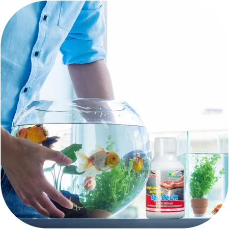 Femanga Aqua Bio Live - preparat do poprawy wody w akwarium-1903574