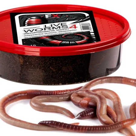 Fishing Expedition Live Worms No.4 - żywe robaki Dendrobena rozmiar 4-1903834