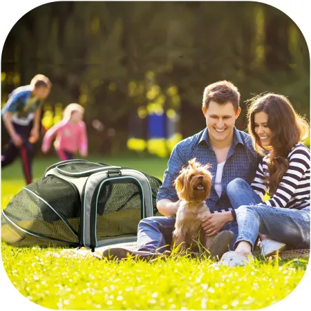 Furrever Friends Airy Tent & Bag - rozkładany transporter dla kota i psa-1903901