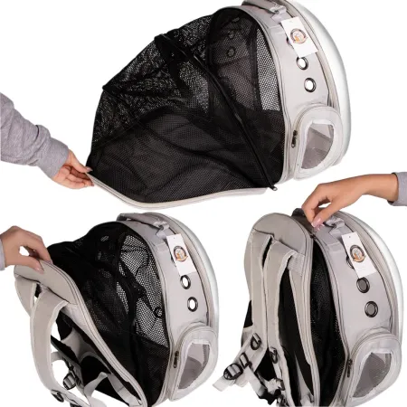 Furrever Friends CatVision 