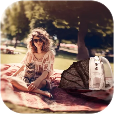 Furrever Friends CatVision 