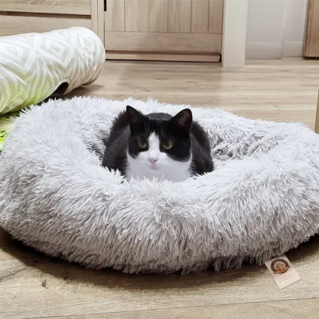 Furrever Friends Fluffy Bed - legowisko dla psa i kota 60cm-1904304