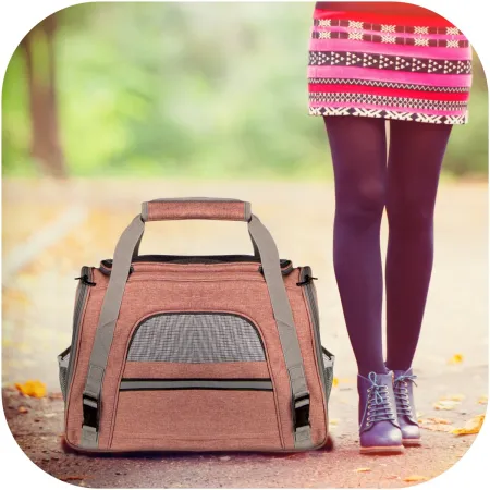 Furrever Friends Hand Citty Bag - transporter dla kota i psa-1904344