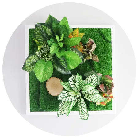 Garden Point - Bello Horizonte 50x50 - ogród ścienny 3D-1905443