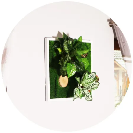 Garden Point - Bello Horizonte 50x50 - ogród ścienny 3D-1905444