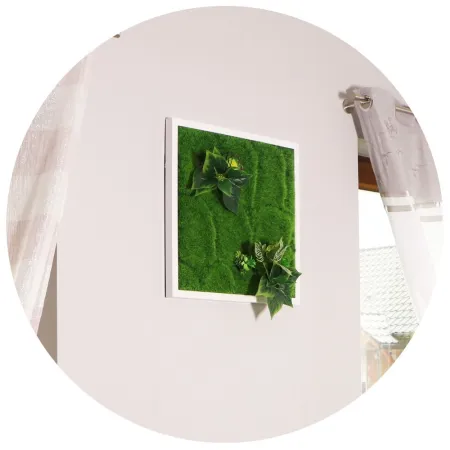 Garden Point - Bello Horizonte 50x50 - ogród ścienny 3D-1905446