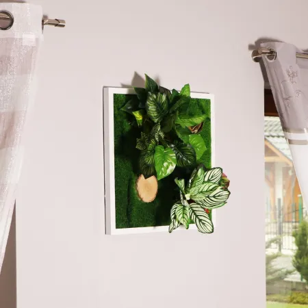 Garden Point - Bello Horizonte 50x50 - ogród ścienny 3D-1905449