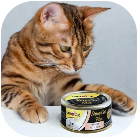 GimCat ShinyCat Filet - karma kurczak gotowany w bulionie 70g-1906160