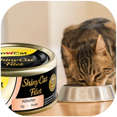 GimCat ShinyCat Filet - karma kurczak gotowany w bulionie 70g-1906162