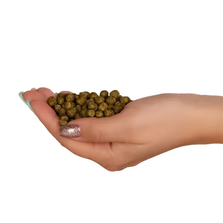 Glopex Premium Algen Feed - pokarm i witaminy dla ryb z spiruliną-1906353