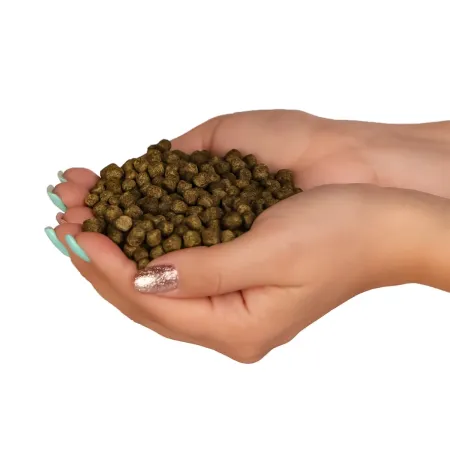 Glopex Premium Algen Feed - pokarm i witaminy dla ryb z spiruliną-1906355